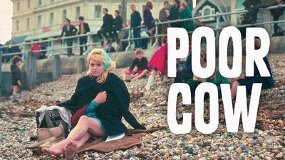 Poor Cow Poster Landscape Image