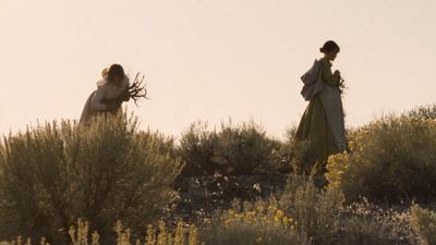 Meek's Cutoff Poster Landscape Image