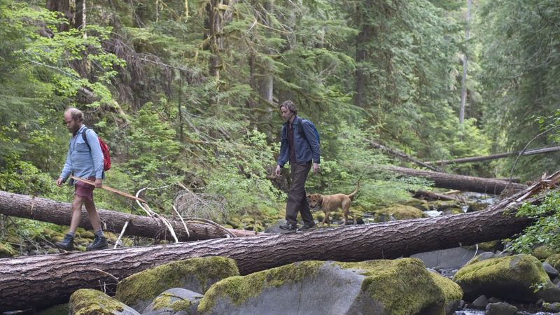 Old Joy Backdrop Image