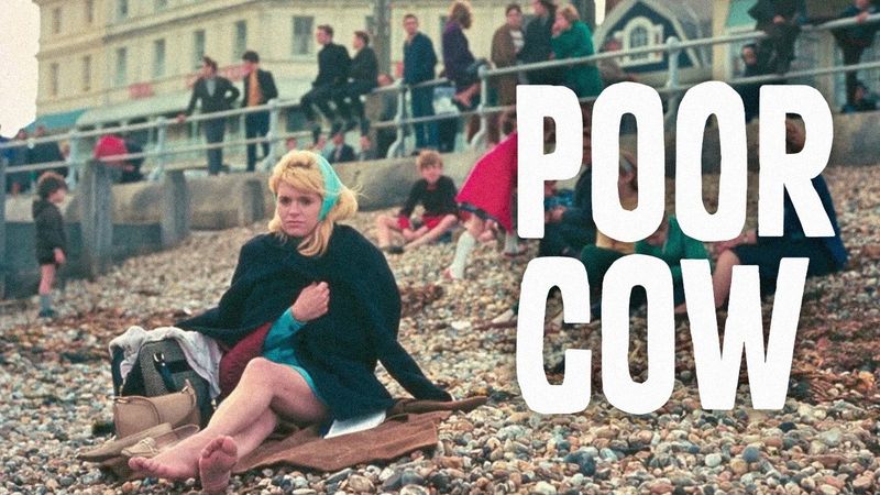 Poor Cow Poster Landscape Image