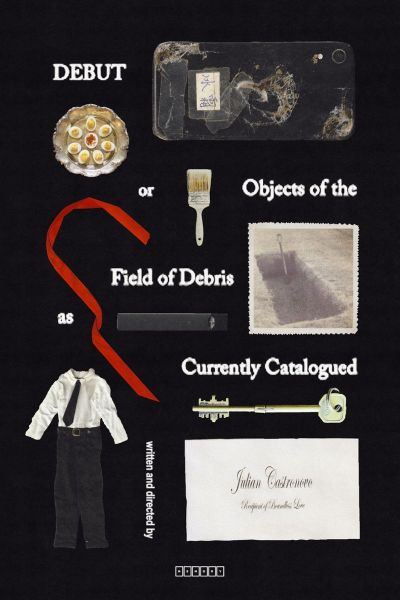 Debut, or, Objects of the Field of Debris as Currently Catalogued Poster Image