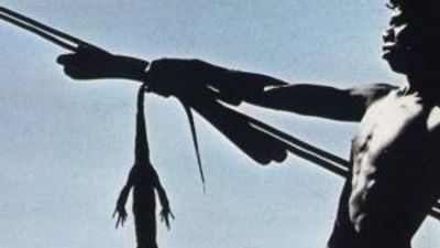 Walkabout Poster Image