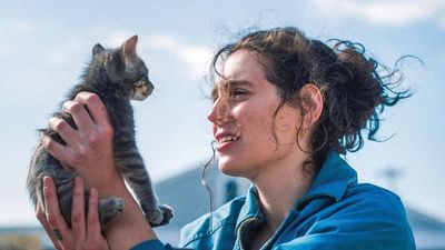 Sorry, Baby Poster Landscape Image